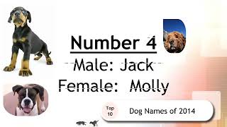 Top 10 Dog Names of 2014
