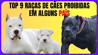 Top 9 Raças De Cães Que São Proibidas Em Alguns País.