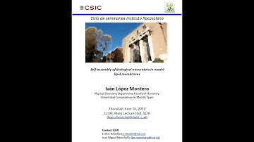 Self-assembly of biological nanorotors in model lipidmembranes