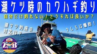 旬のカワハギ釣り 潮ケツで不利な釣り座のときどのようにすれば良いか を考えます 横浜かわはぎ釣り研究会10月度例会の様子です 優勝者はおなじみの Youtube 旬のカワハギ釣り 潮ケツで不利な釣り座のときどのようにすれば良いか を考えます 横浜かわはぎ釣り研究会10月度例会の様子です 優勝者はおなじみの Youtube