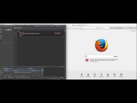 Basic Debugging in