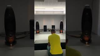 Audiophile stereo system #hiend #hifi #dj #music #audio #speaker