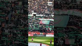 Rojbaş Malbata Serbilind. Resimi