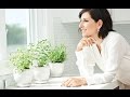 Understanding Chronic Stress and Its Effects