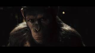 Rise of the Planet of the Apes - The Cookies