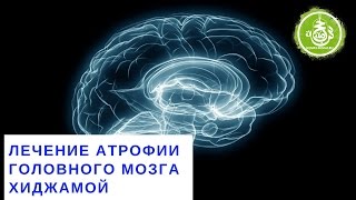 Лечение атрофии головного мозга хиджамой | Обучение Хиджаме Лечение атрофии головного мозга хиджамой | Обучение Хиджаме