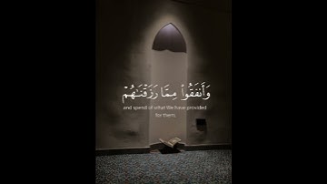سورة فاطر ايه ( 29 )