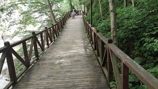 Çayırbağı - Düzköy Alikemal Aydın'ın kızının düğünü