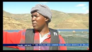 Lesothos Sushi Export Business Profitable