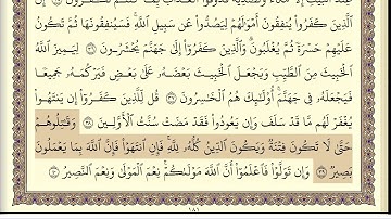 سورة الأنفال كاملة    سعود الشريم