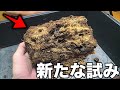 春先に組んだ産卵セットがとんでもないことになった