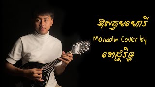 Video thumbnail of "តន្ត្រីសម្រាន្តអារម្មណ៍ «ឱសត្វមហោរី ,Oh Satmohori» Mandolin Cover by PJRith ពេជ្ជរិទ្ធ"