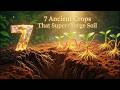The Ancient Soil Secret Farmers Don’t Want You to Know 7 Plants That Fix Soil Fast