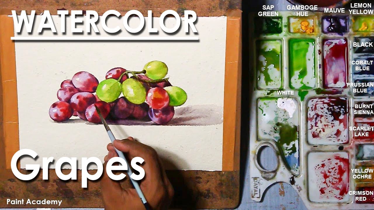 How to Paint Grape Fruits in Watercolor