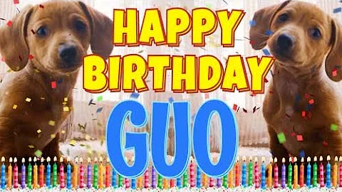 Happy Birthday Guo! ( Funny Talking Dogs ) What Is Free On My Birthday - DayDayNews