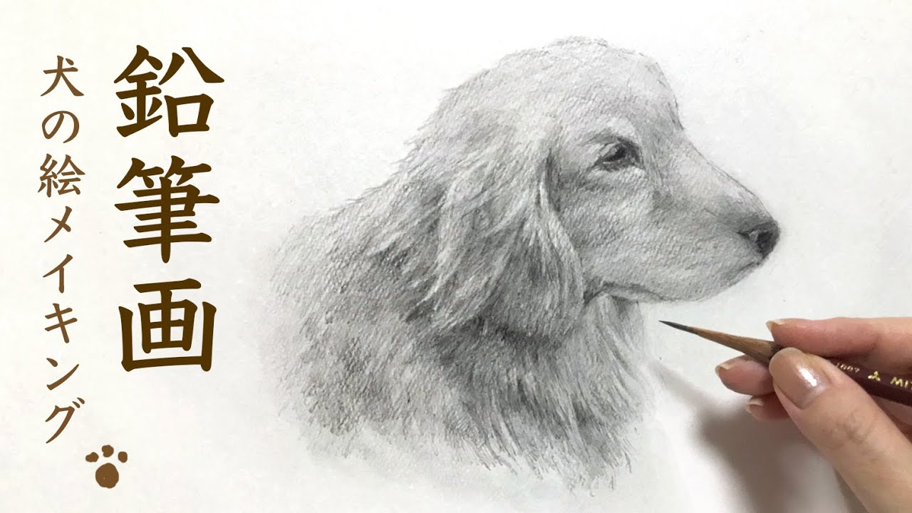 鉛筆画 1分で描くゴールデンレトリバー Pencil Drawing Youtube