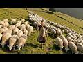 A Peaceful Countryside Life — A Young Woman Living Alone With Her Dog, Doing Everyday Rural Work