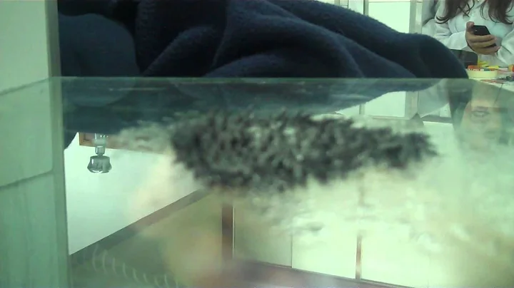 VID00019