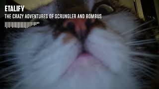 the crazy adventures of scrungler and bombus - [Original Track]