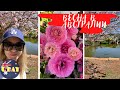 Vlog: Фестиваль цветов, местная ярмарка и Японский сад.