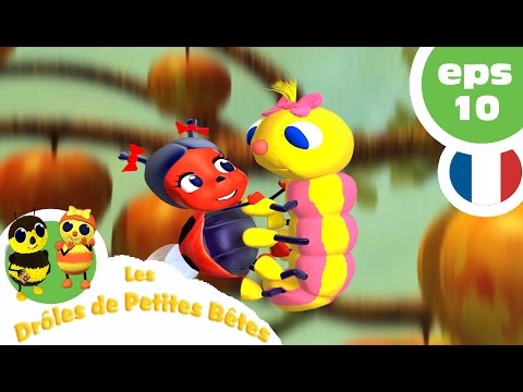 DRÔLES DE PETITES BÊTES EP10 La Feuille Idéale