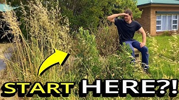 The DREAM Home That Was Forgotten - FREE GARDEN TRANSFORMATION