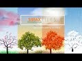 Swax Files Story Up Buttercup Temperature Claim Debunked