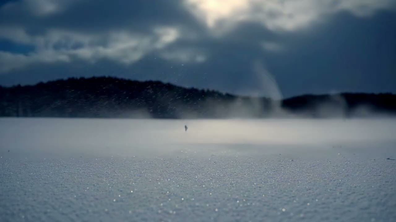 Snowy Field (Night Hiss) | Tinnitus Relief | Background Noise for Sleep and Study | 4 Hours