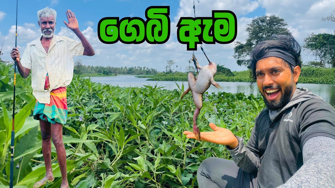 කටු කෙලින් කරපු red line Snakehead – දැදුරු ඔය Fishing Adventure 🎣 @Kavishkadilshanwijayarathna 