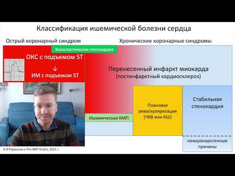 Классификация ИБС и клинические сценарии хронических коронарных синдромов (А.В.Родионов)