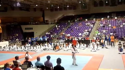 Emily's Form for the Grand Championship