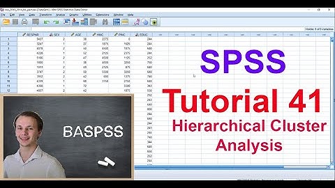 SPSS #41 Hierarchical Cluster Analysis