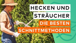 Die Besten Schnittmethoden Für Hecken Und Sträucher