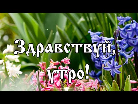 Доброе утро! Здравствуй, утро! Заходи на чай! Открытка С Добрым утром для друзей