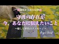 🌸満月から春分以降🌸守護の存在が今、あなたに伝えたいこと✨🌈〜癒しと解放のメッセージ〜アンジータロット💕