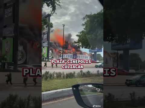 ¡VAMOS MÉXICO! CASINO FOLIATTI GUADALUPE