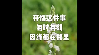 201801 开悟这件事 每时每刻因缘都在那里23102