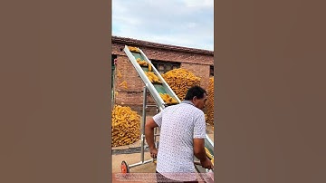 A Smart Method for Storing Harvested Corn