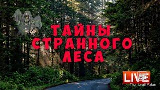 Странные явления🌥 Кто пытался нас напугать, белки?