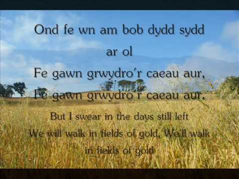 Y Caeau Aur - Gemma Markham (geiriau / lyrics) [Fields of Gold]