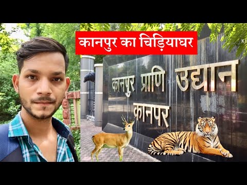 वीडियो: एलन वन चिड़ियाघर विवरण और तस्वीरें - भारत: कानपुर