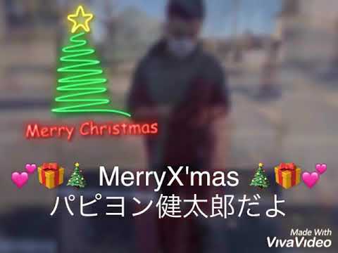 メリークリスマス#メリクリ#彼女欲しい#出来れば熟女#MERYXmas#パピヨン健太郎