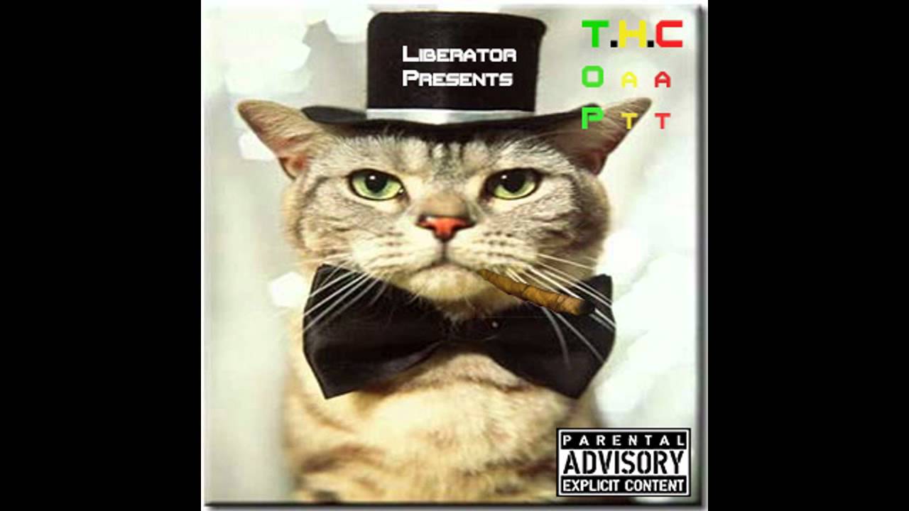 Guarda Liberator - The Truth (Cypher Contest) @AfterTouchBeatz Cypher su YouTube Guarda Liberator - The Truth (Cypher Contest) @AfterTouchBeatz Cypher su YouTube