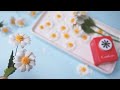 クラフトパンチで作る可愛いディジーの花｜ペーパーフラワー｜How to make paper flower daisy