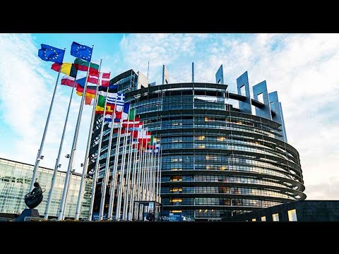 ევროპარლამენტი რეზოლუციის ტექსტზე შეთანხმდა