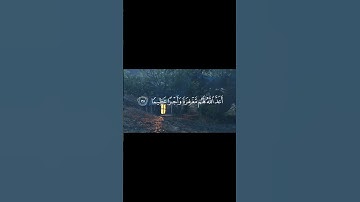 استغفروا الله 🤍|سورة الأحزاب-35- للقارئ محمد لايق #quran #قران_كريم