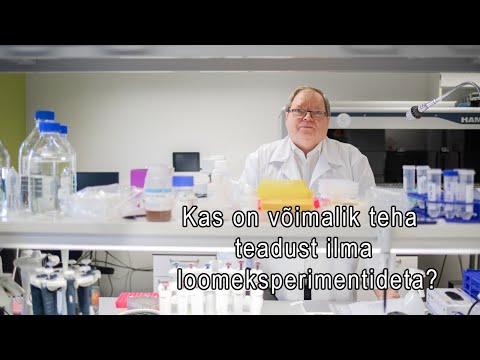 Video: Kas puuviljakärbsed hammustavad?