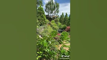 Ruby City Bảo Lộc