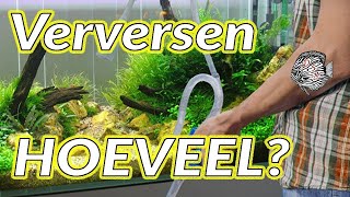 Hoeveel water verversen in aquarium: verversingsschema opstellen // Aquarium Sunshine's Valley