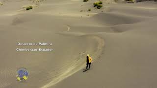 Desierto De Palmira